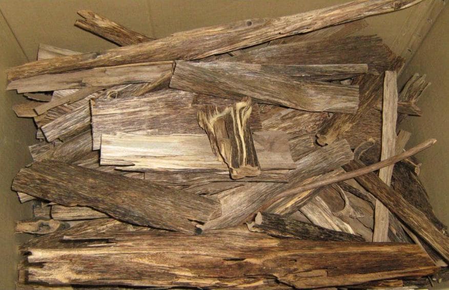 Agarwood (oud)