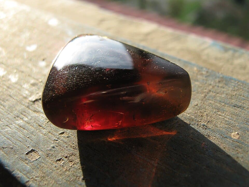 Amber Wood
