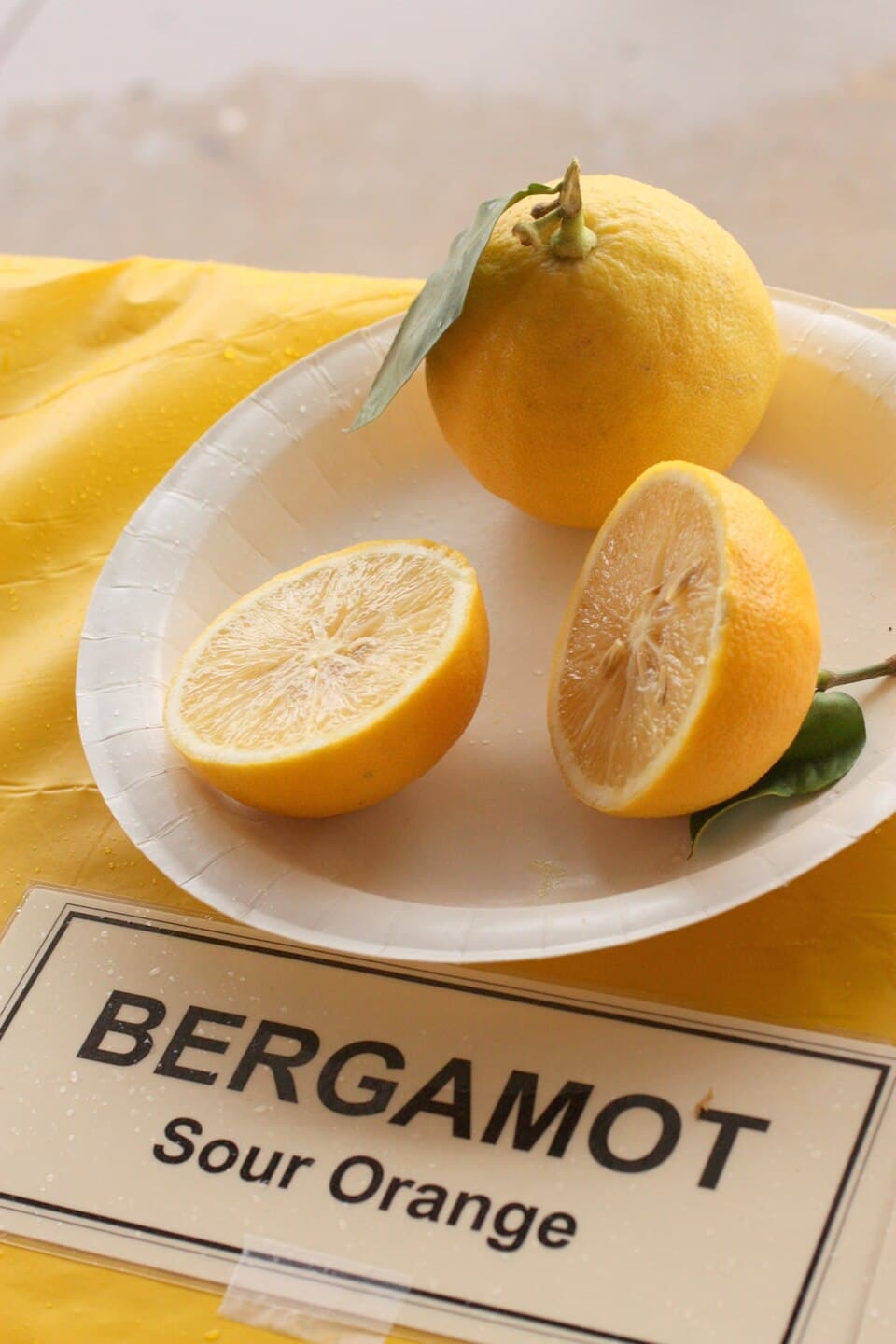 Bergamot Essence
