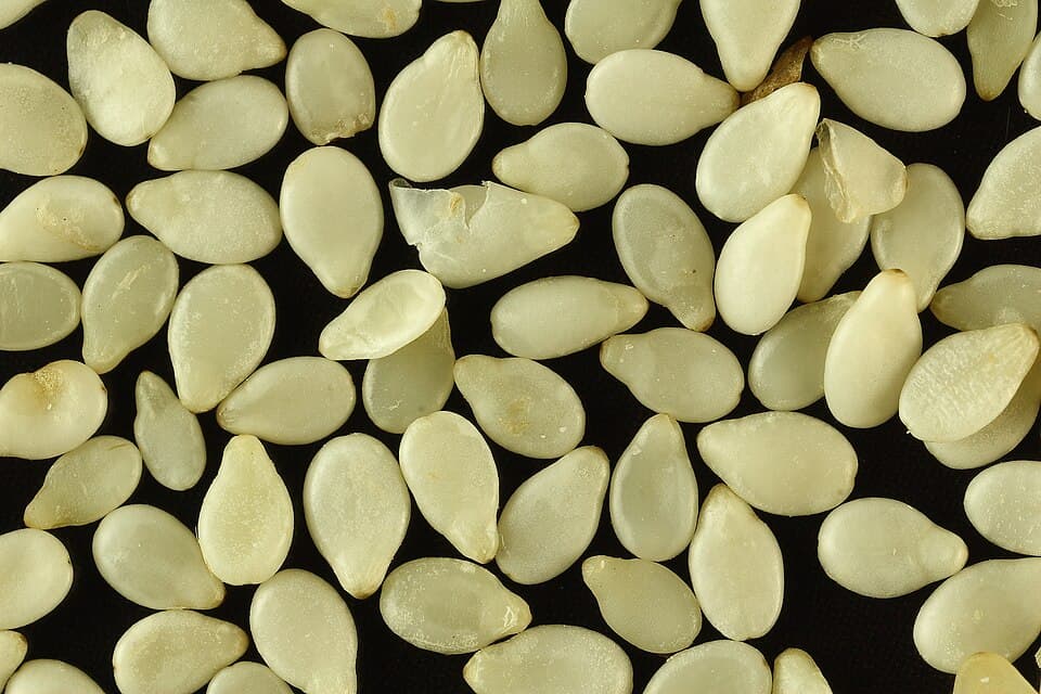 Black Sesame Seeds