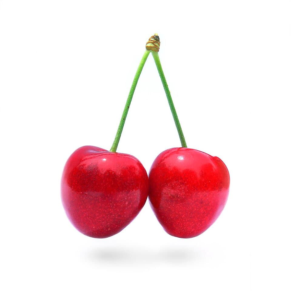 Cherry Accord