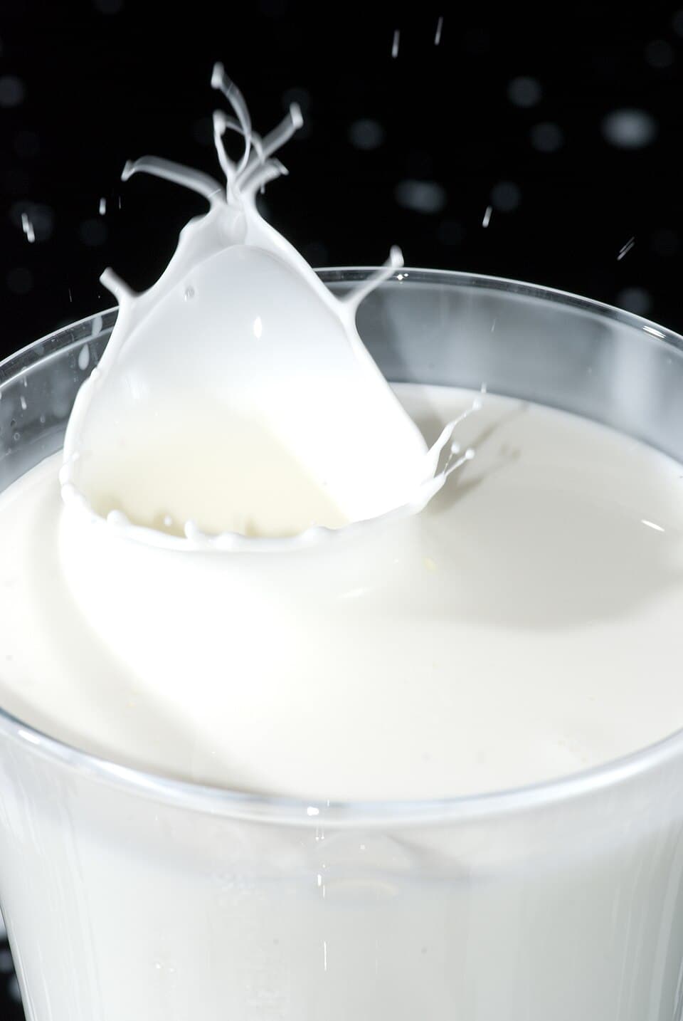Fresh Cream