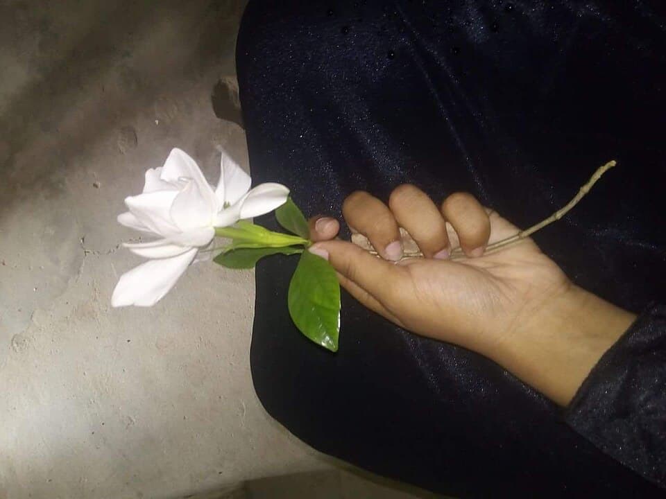 Gardenia