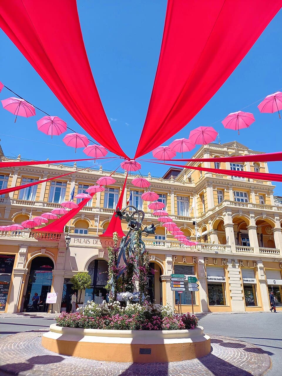 Grasse Rose