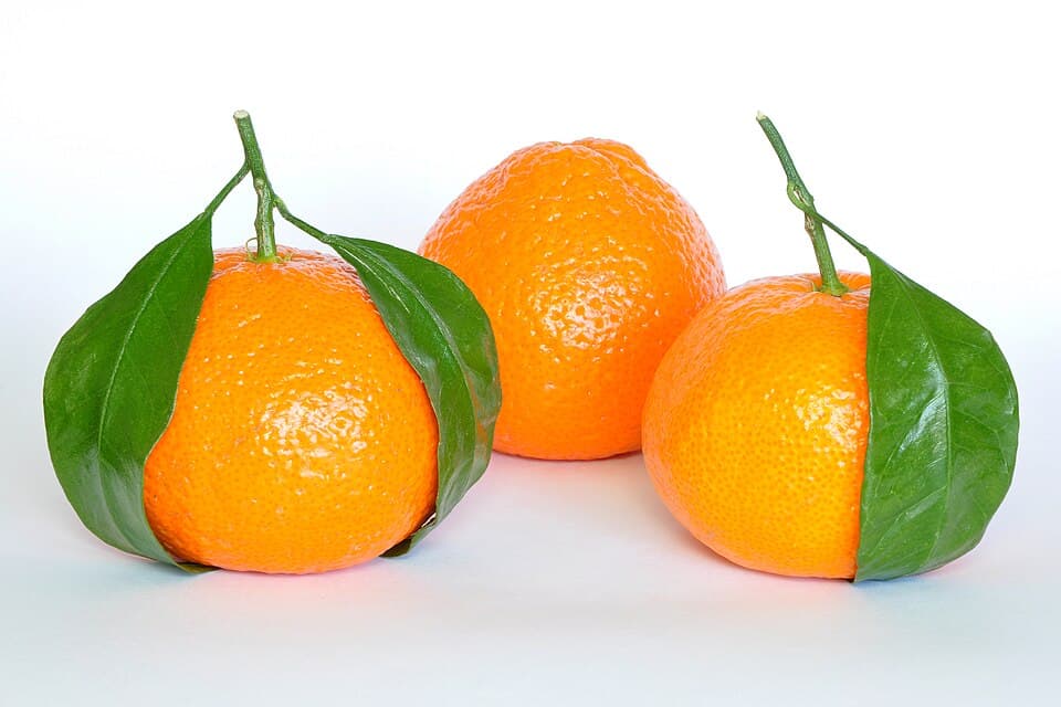 Italian Mandarin