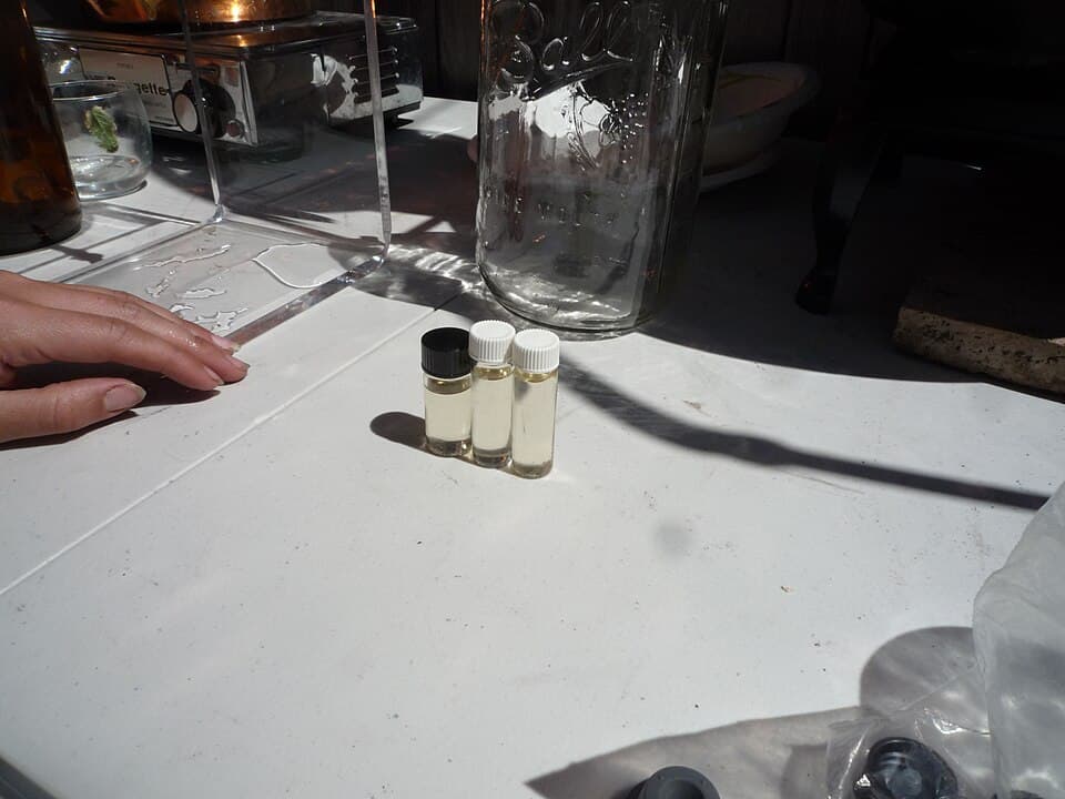 Lavender Essential Oil