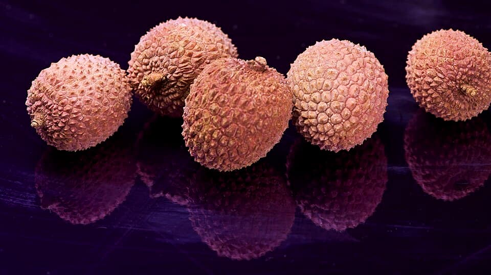 Lychee Accord