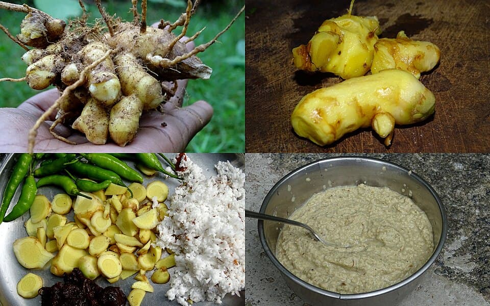 Nigerian Ginger