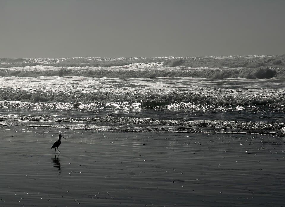Ocean Water Accord