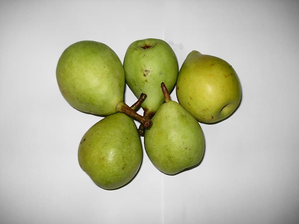Pear
