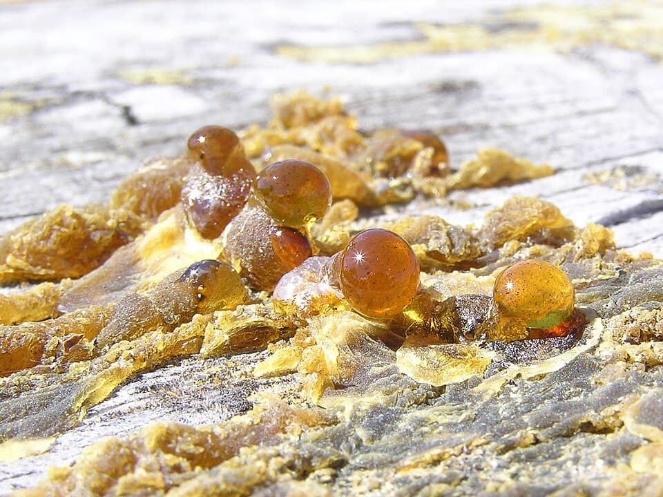 Resin