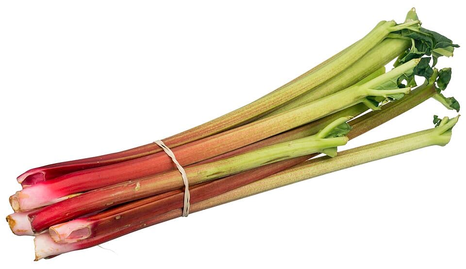 Rhubarb