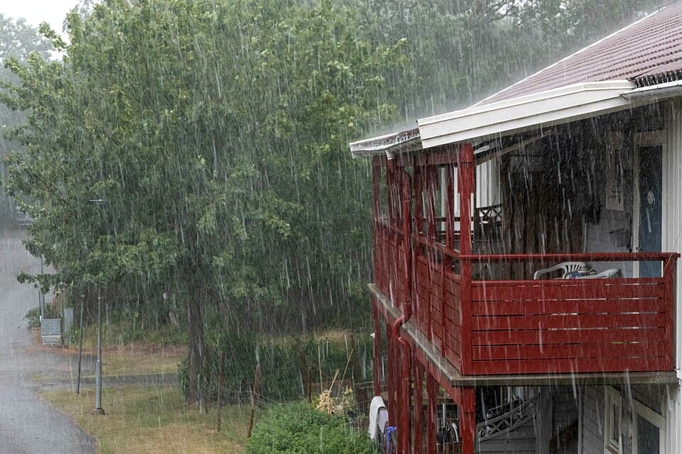 Summer Rain