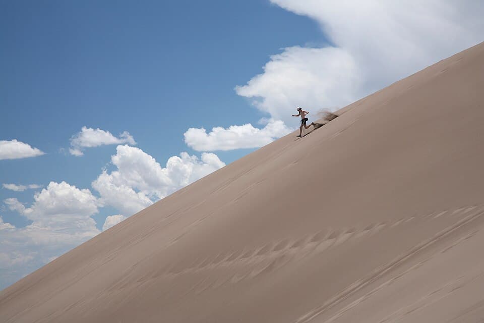 Sunny Dunes