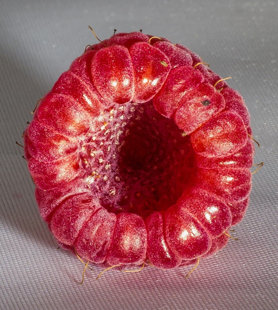 Sweet Raspberry