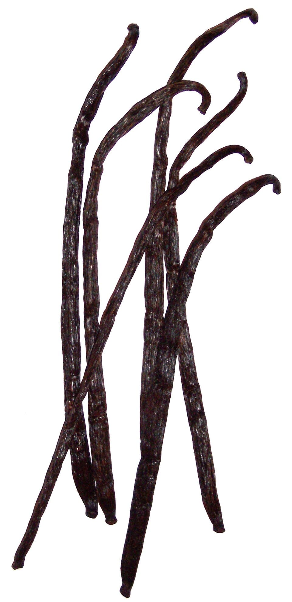 Vanilla Bourbon Madagascar