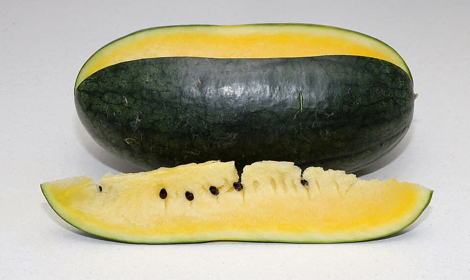 Watermelon