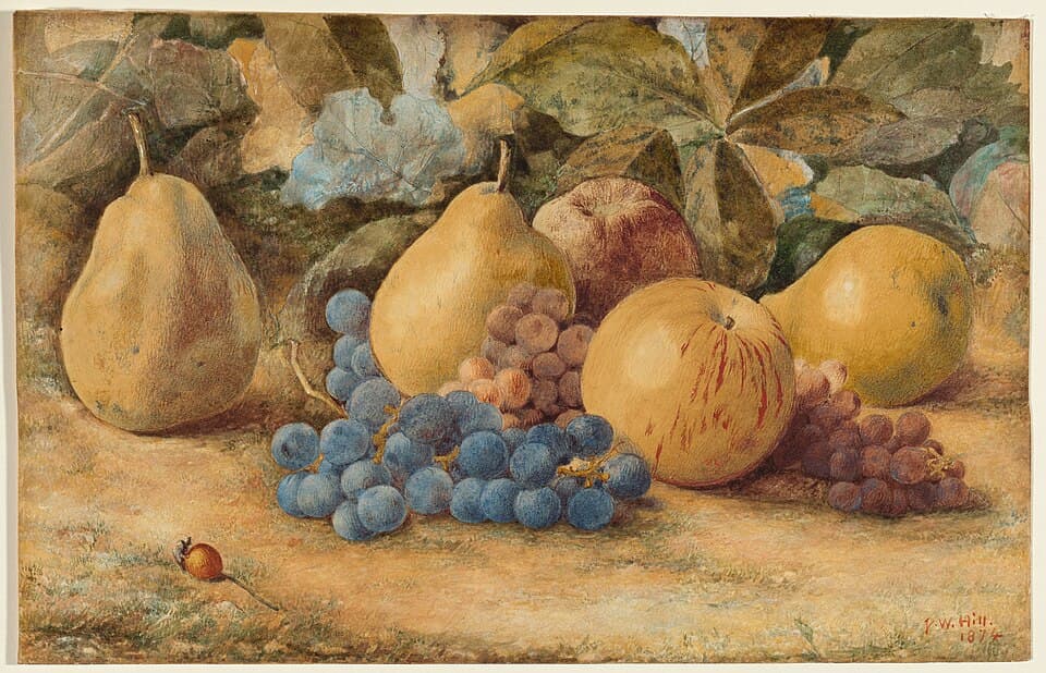 William Pear