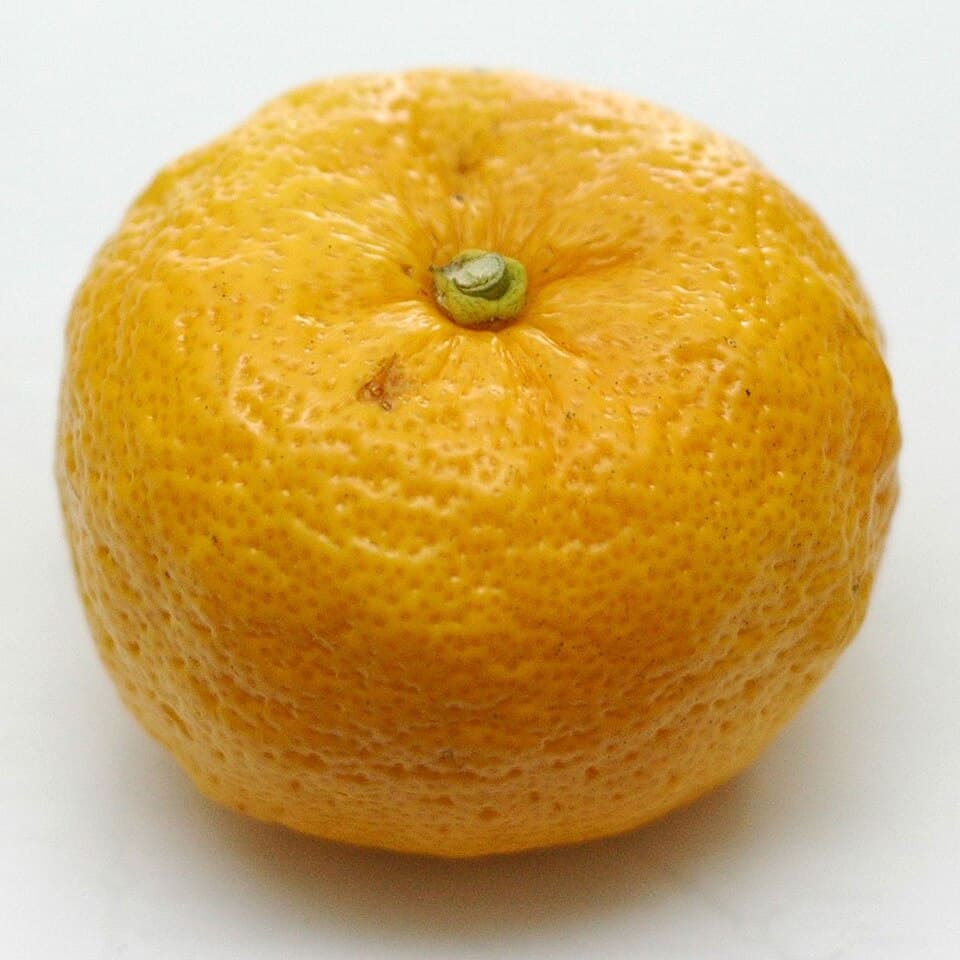 Yuzu