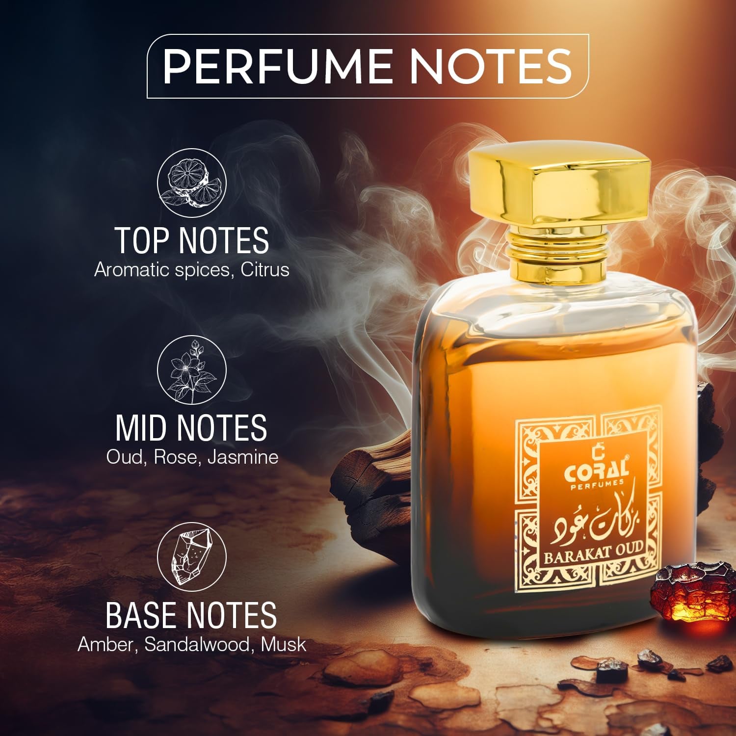 Coral Men & Women Perfume Combo – 4 Premium Fragrances (100ml each) | Long Lasting EDP Set