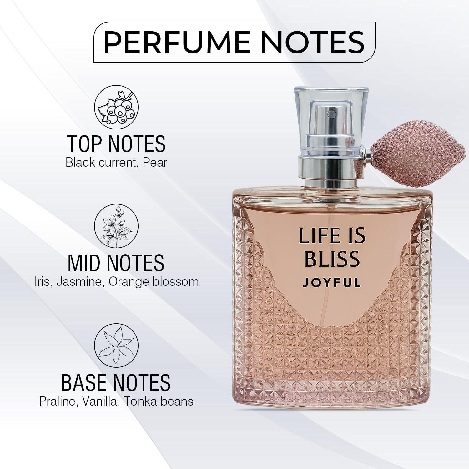 Coral Women’s Perfume Combo – 4 Long Lasting EDP Fragrances (100ml each) | Floral, Fruity & Sweet Scents