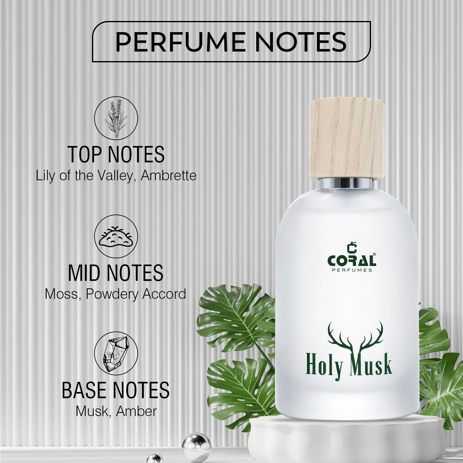 Coral Holy Musk For Unisex EDP 50ml