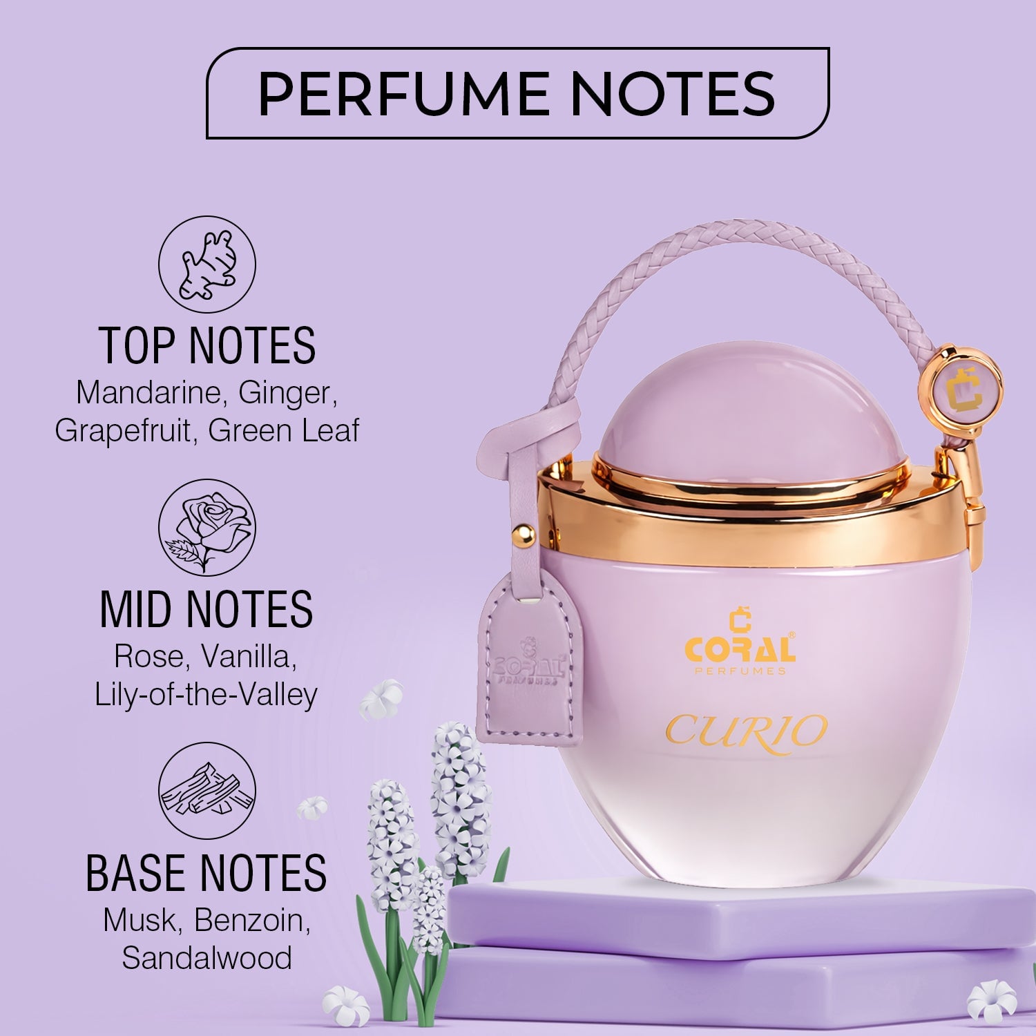 Coral Curio For Women Extrait De Parfum 80ml