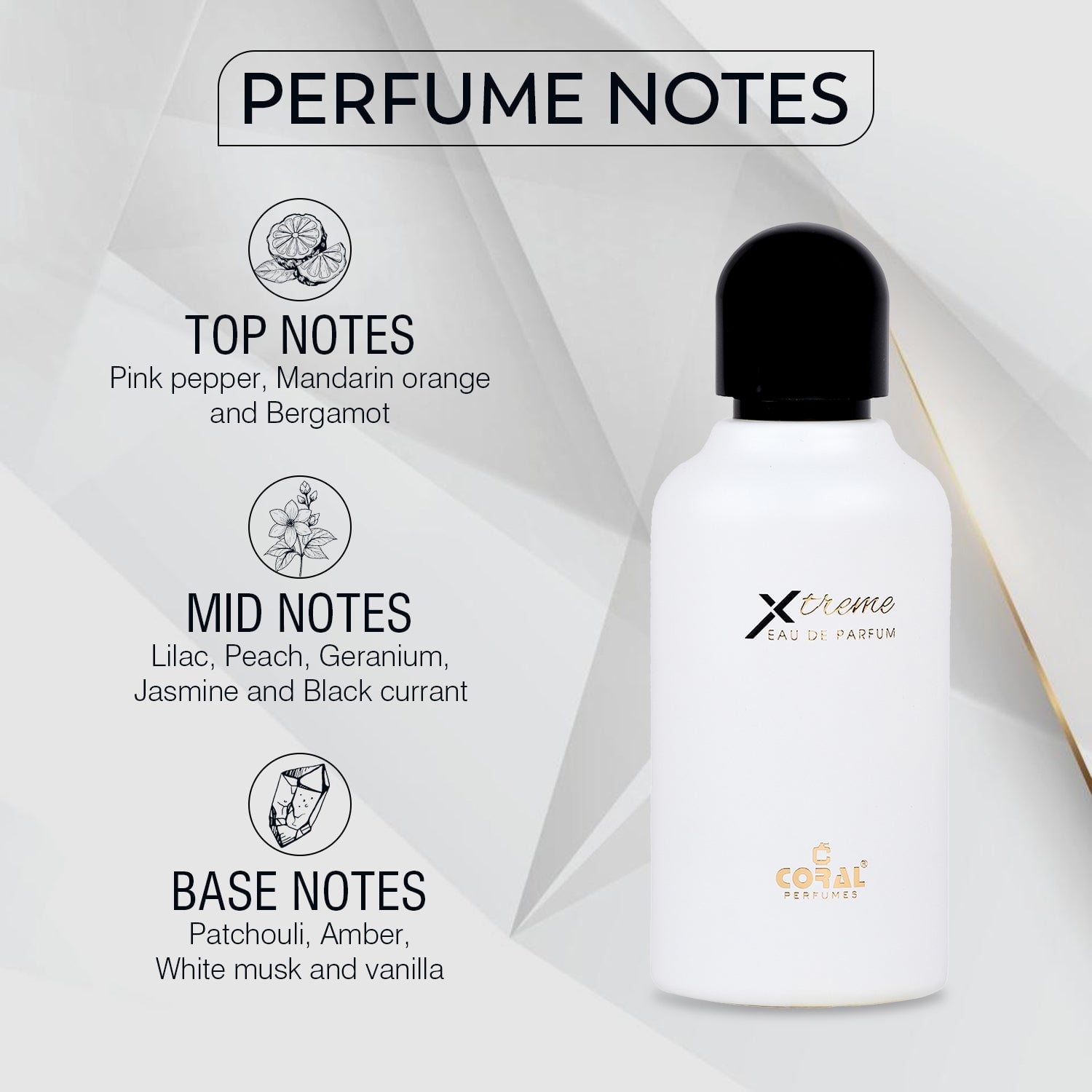 Coral Perfumes Duo Set – Gravity for Men & Xtreme for Women EDP (100ml Each)