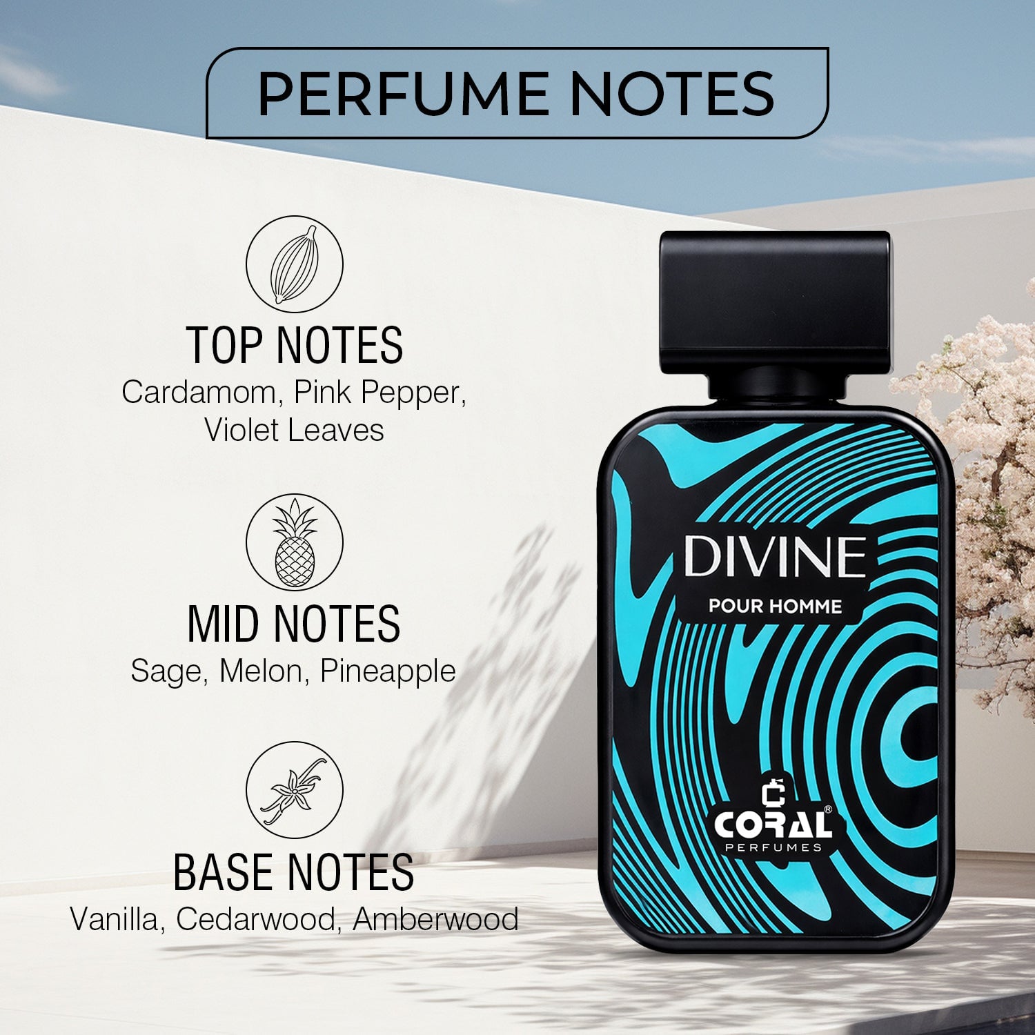 Coral Men's Signature Trio Perfume Set – Sunshine, Divine & Heaven Pour Homme EDP (100ml Each)